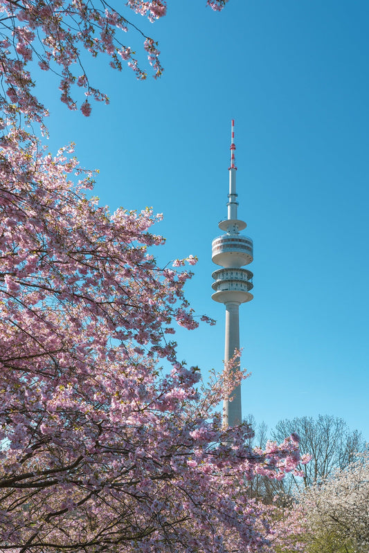 Top 10 Aktivitäten im Frühling – In München und Umgebung